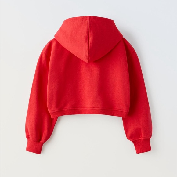 ZARA Embroidered Cropped Hoodie - Picture 6 of 8